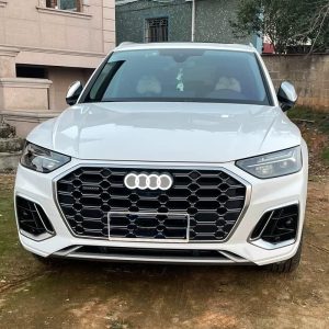 Audi Q5 LED Emblem